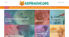 Desktop Screenshot of kedibakimi.org